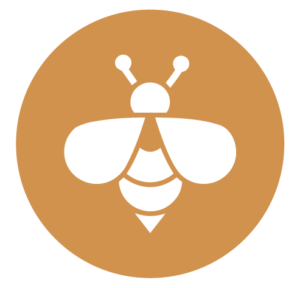 Séjour d’apithérapie en Corrèze chez Abeilles & Etoiles au contact des abeilles dans un environnement naturel