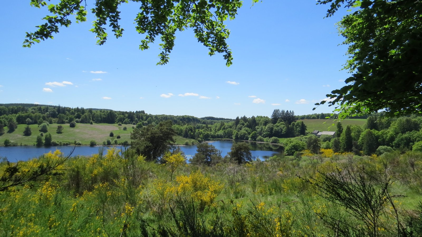 Séjour apicole en Corrèze avec ruches et relaxation chez Abeilles & Etoiles dans un cadre naturel