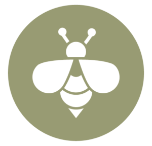 Hébergement gîte écologique en Corrèze France chez Abeilles & Etoiles en pleine nature